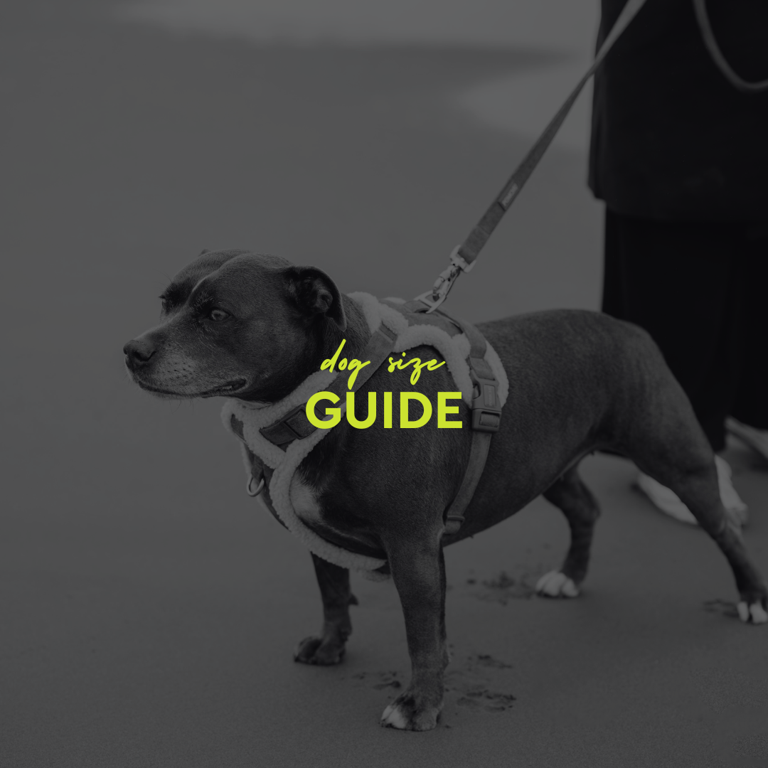 Finding the Right Fit: A Guide to Dog Harness Sizes