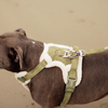 Adjustable No-Pull Dog Harness